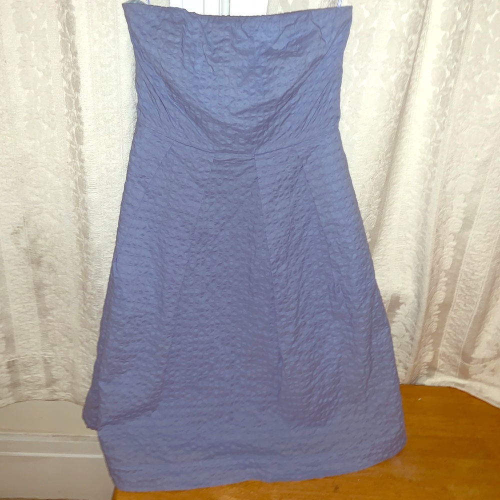 J Crew Fitted Strapless Dress Light Blue Textured